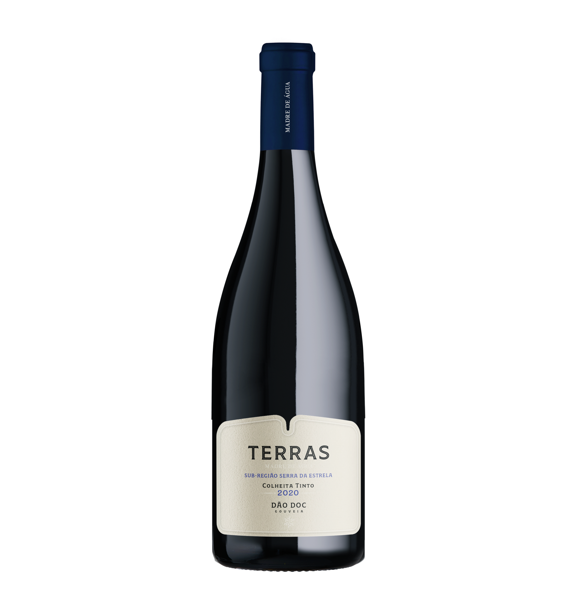 Terras Madre de Agua Tinto 2020 750 ml